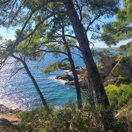 Evasion Nature A Cap Esterel Jardin, Mer & Golf Tout Confort Сен-Рафаэль Экстерьер фото