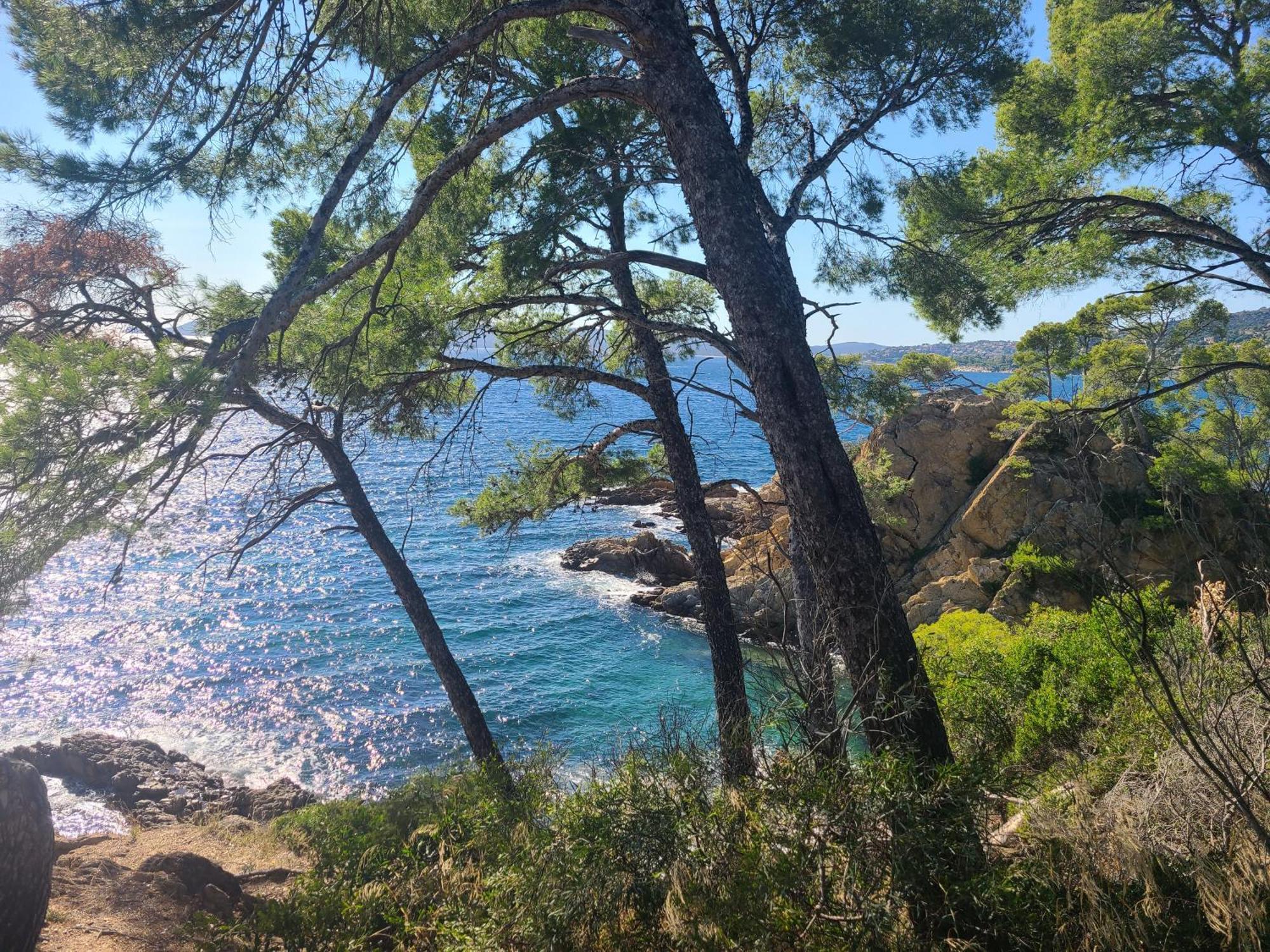Evasion Nature A Cap Esterel Jardin, Mer & Golf Tout Confort Сен-Рафаэль Экстерьер фото