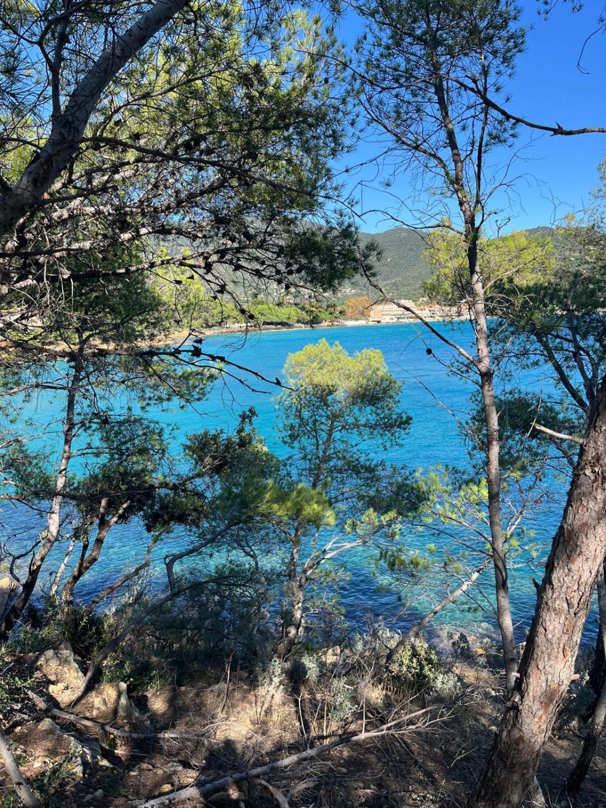 Evasion Nature A Cap Esterel Jardin, Mer & Golf Tout Confort Сен-Рафаэль Экстерьер фото